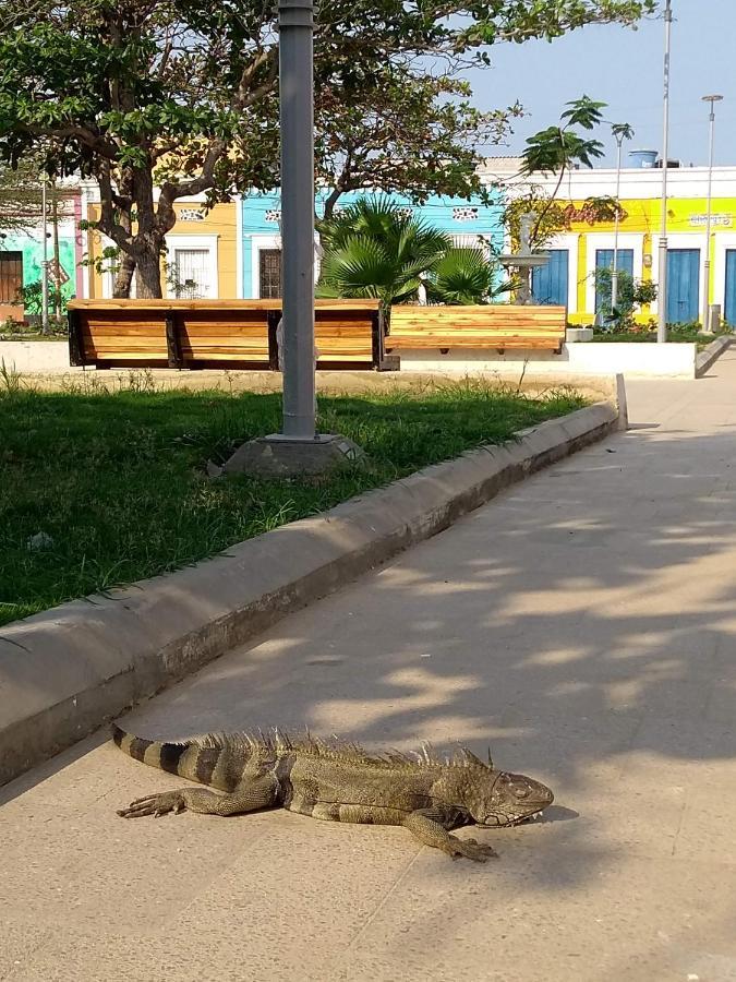 El Habitante Casa Cultural & Hostal Ciénaga 外观 照片