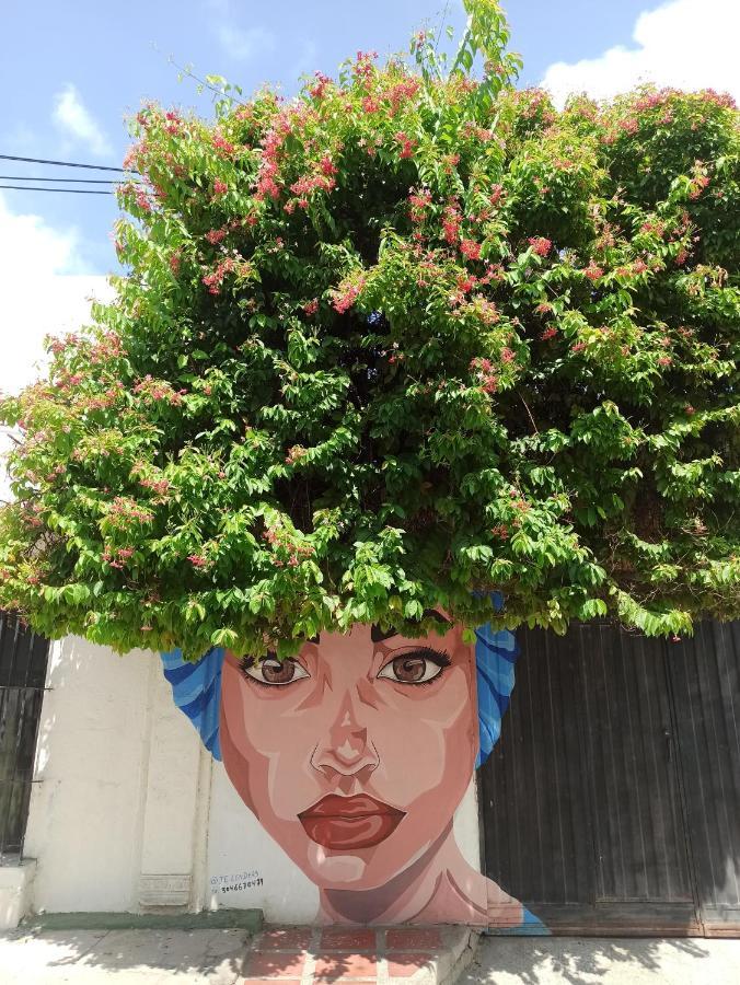 El Habitante Casa Cultural & Hostal Ciénaga 外观 照片
